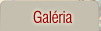 Gal&eacute;ria
